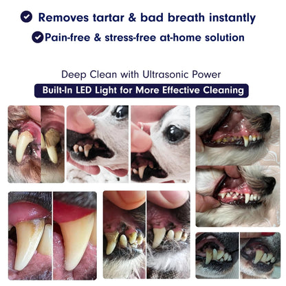 Silent Ultrasonic Plaque & Tartar Remover For Dogs