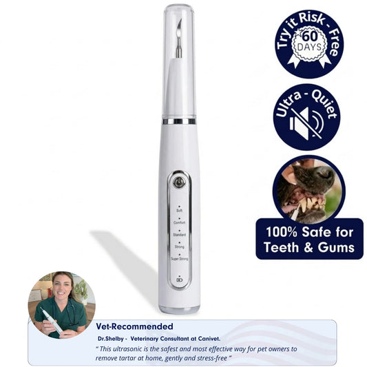 Silent Ultrasonic Plaque & Tartar Remover For Dogs
