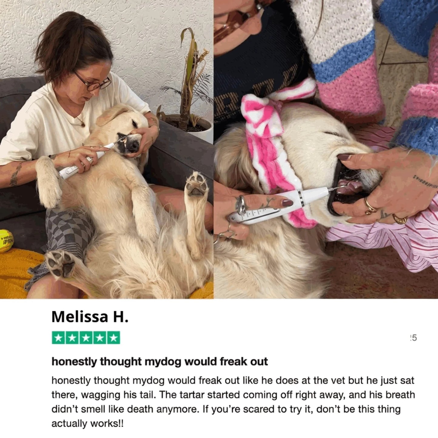 Silent Ultrasonic Plaque & Tartar Remover For Dogs