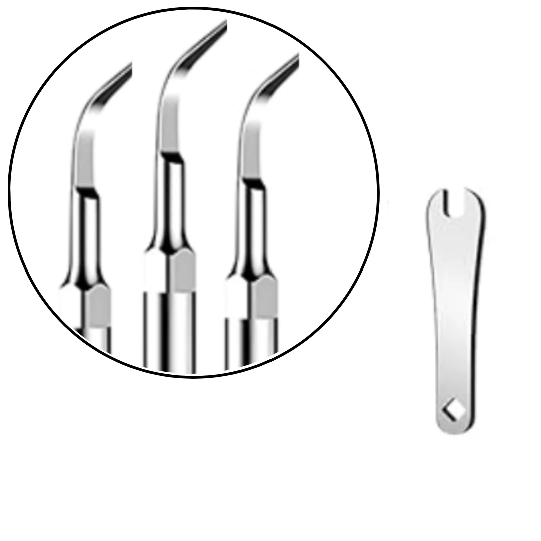 Dog Mouth Opener for Easier Dental Cleaning