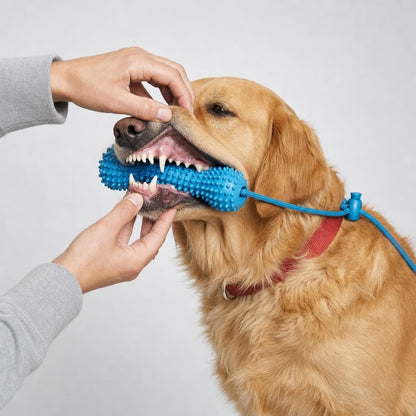 Dog Mouth Opener for Easier Dental Cleaning