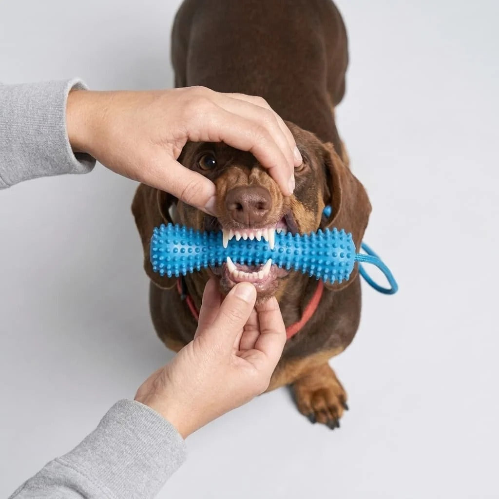 Dog Mouth Opener for Easier Dental Cleaning